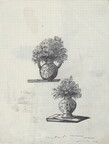 Pots de fleurs