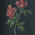 Roses 2