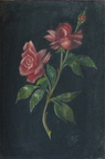 Roses 2