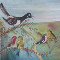 Oiseaux