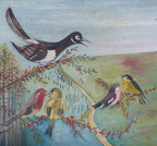 Oiseaux